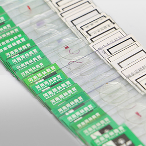 甘肃中药饮片标本