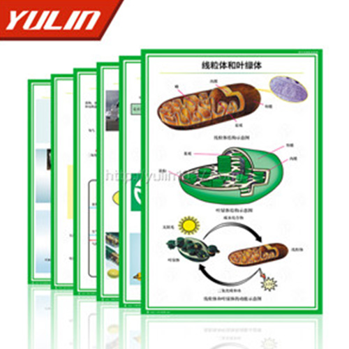 甘肃病虫害防治挂图