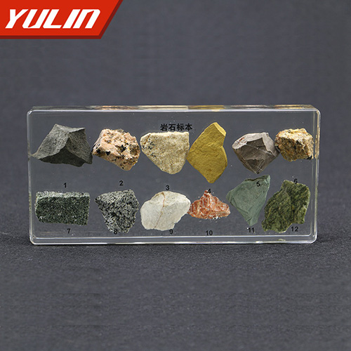 甘肃岩石包埋标本