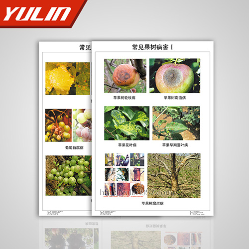 甘肃园林植物病理挂图