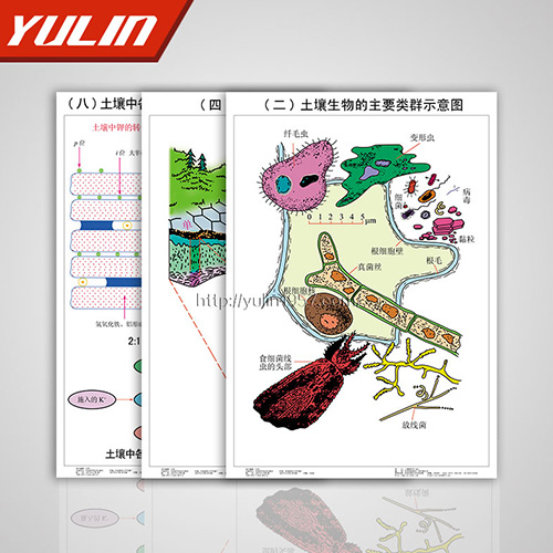 甘肃土壤肥料挂图