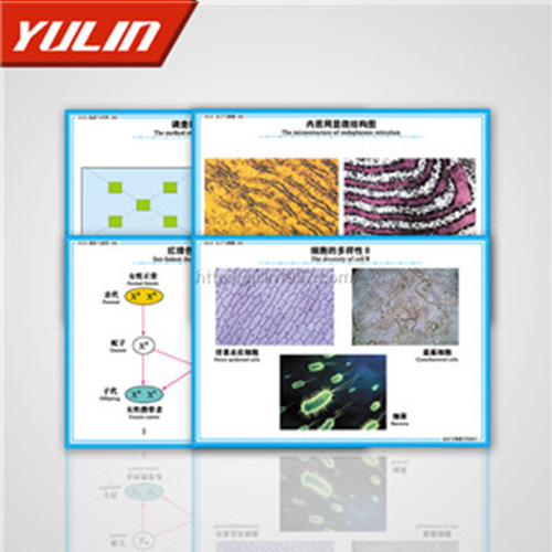甘肃高中教学投影片