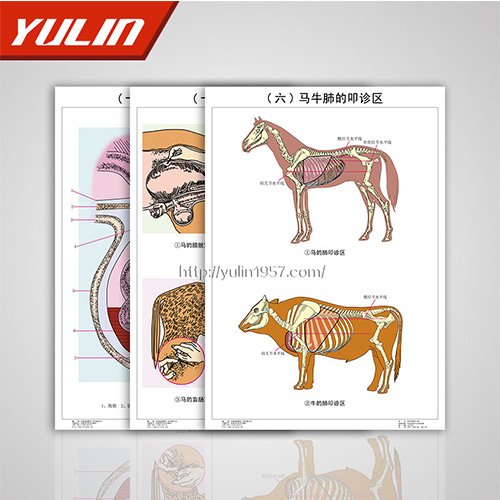 甘肃职业教育教学挂图